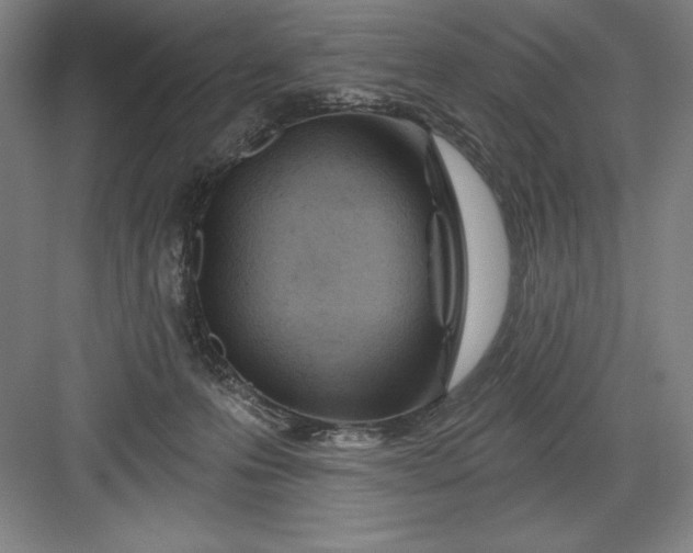 X0000082980223200702160006