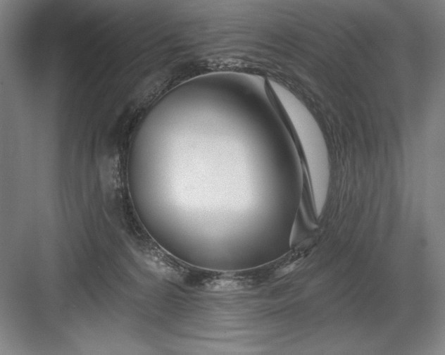 X0000082980224200702160006