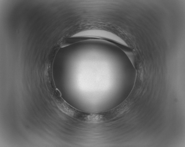 X0000082980225200702160006