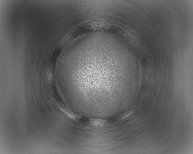 X0000082980226200702160006