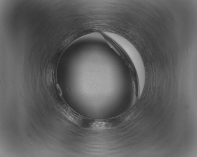 X0000082980227200702160006