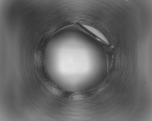 X0000082980228200702160006