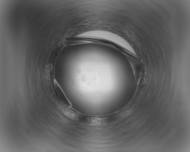 X0000082980229200702160006