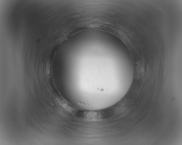 X0000082980230200702160006