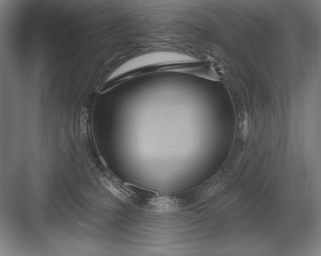X0000082980231200702160006