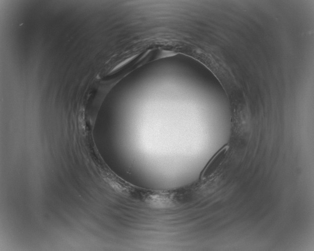 X0000082980232200702160006