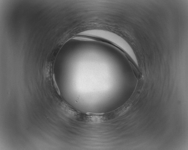 X0000082980233200702160006