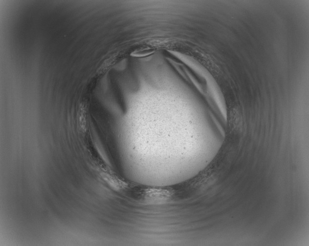 X0000082980234200702160006