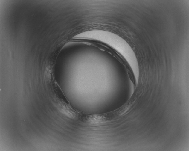 X0000082980235200702160006