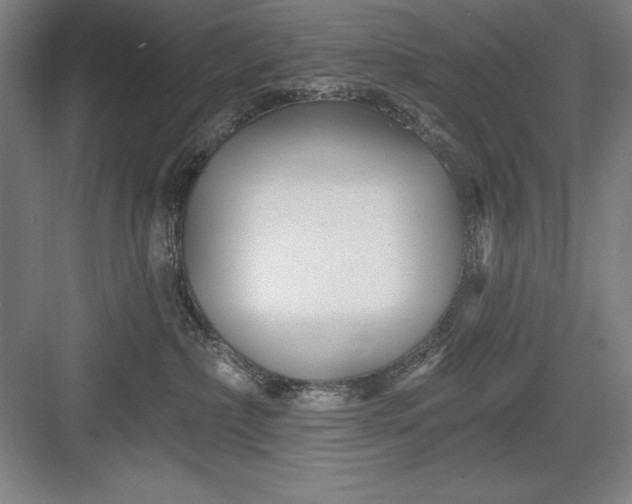 X0000082980236200702160006
