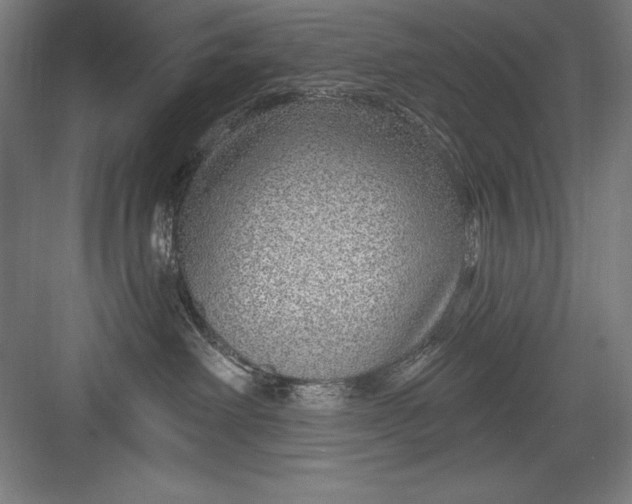 X0000082980238200702160006