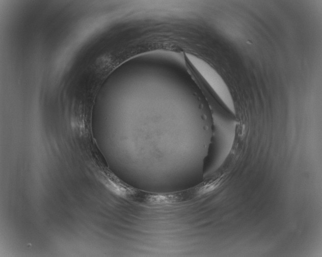 X0000082980239200702160006