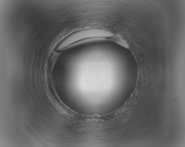 X0000082980242200702160005