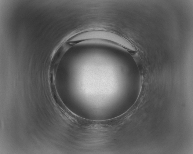 X0000082980244200702160005