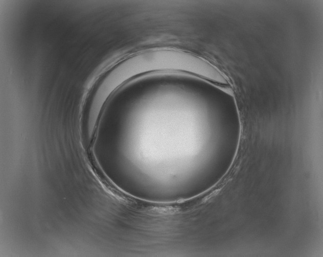 X0000082980245200702160005