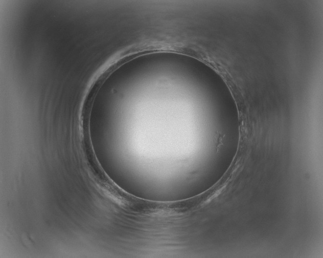 X0000082980246200702160005