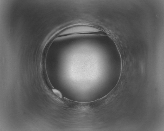 X0000082980247200702160005