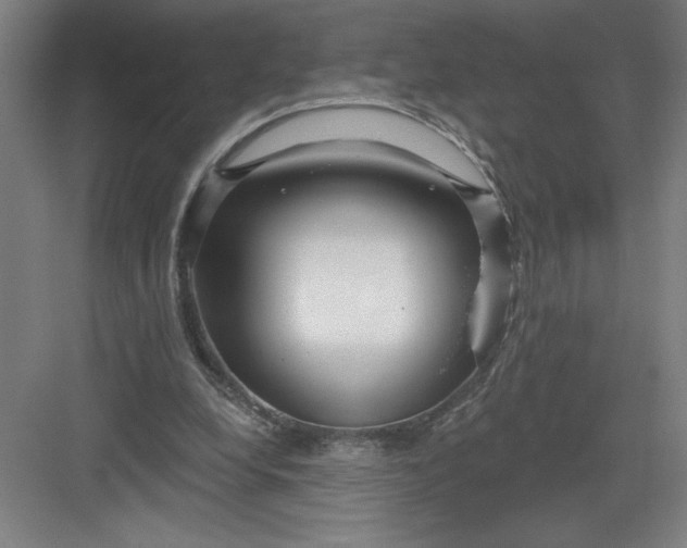 X0000082980248200702160005