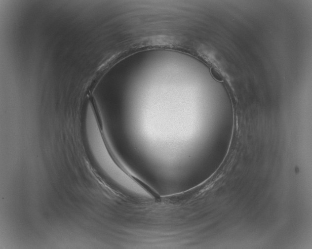 X0000082980249200702160005