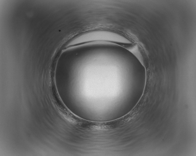 X0000082980250200702160005