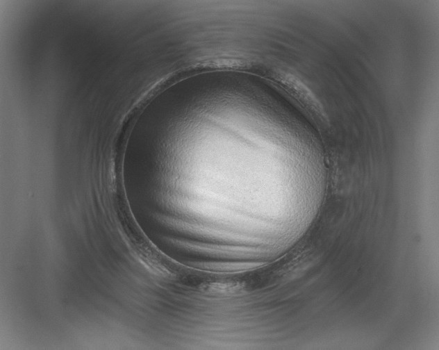 X0000082980251200702160005