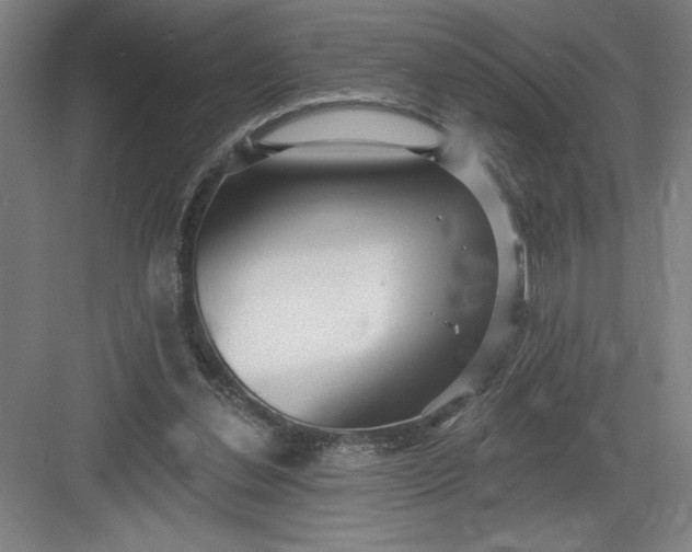X0000082980252200702160005