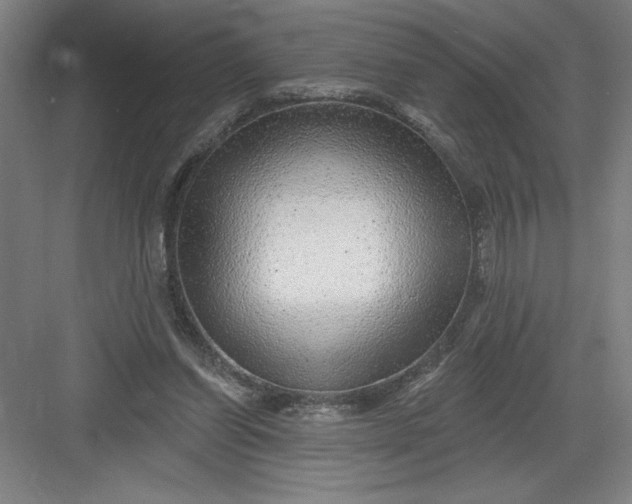 X0000082980254200702160005