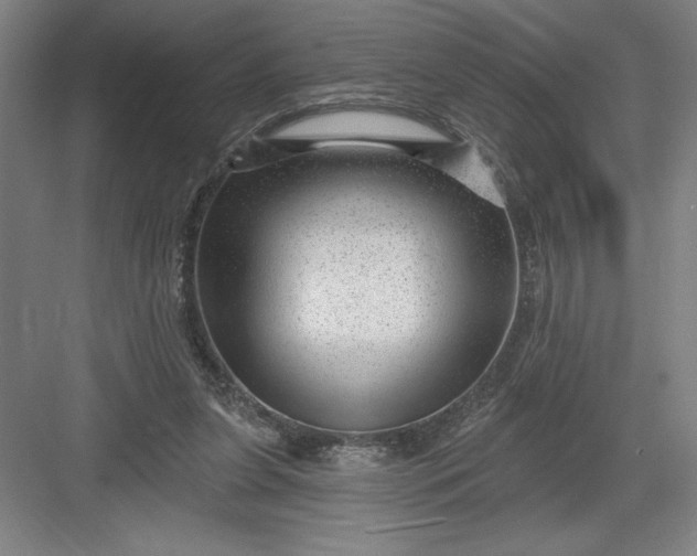 X0000082980255200702160005