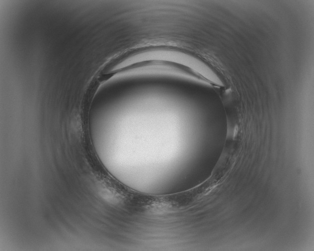 X0000082980256200702160005