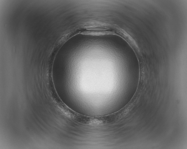 X0000082980257200702160005