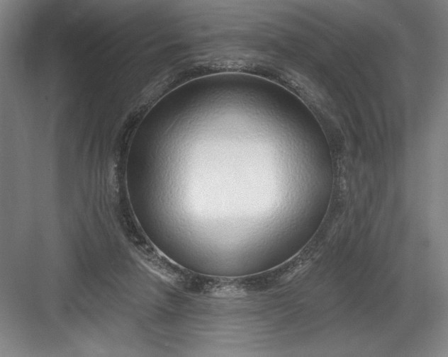 X0000082980258200702160005