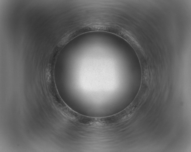 X0000082980259200702160005
