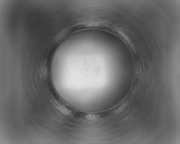 X0000082980261200702160005