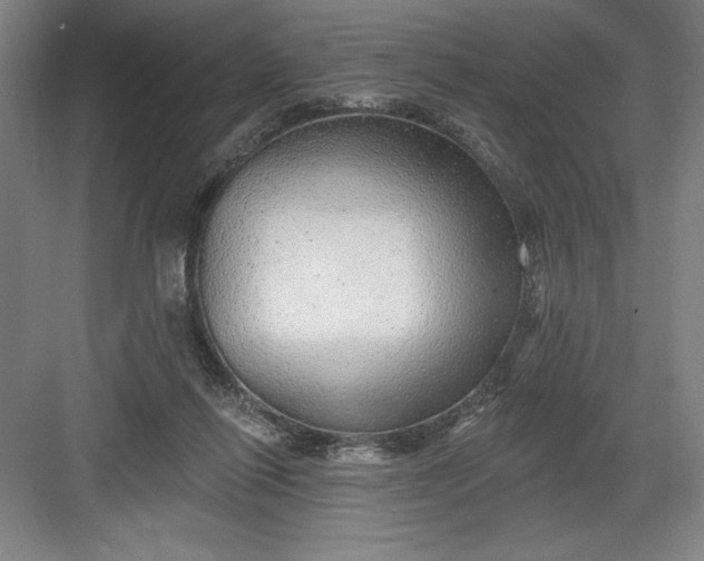 X0000082980262200702160005