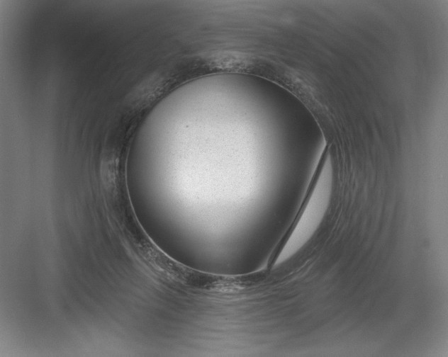 X0000082980263200702160005