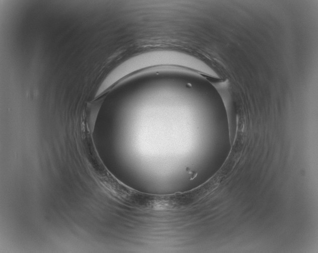X0000082980264200702160005