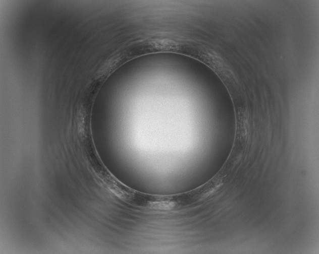 X0000082980266200702160005