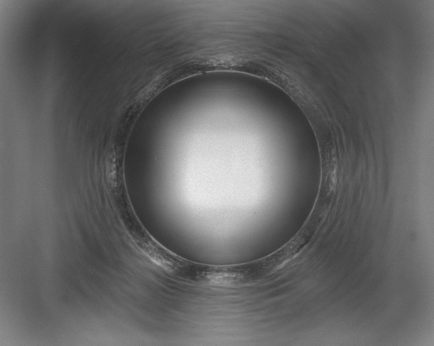 X0000082980268200702160005