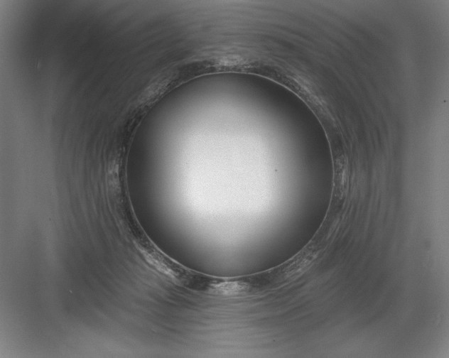 X0000082980269200702160005