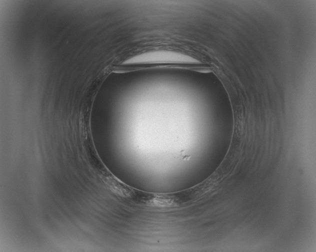 X0000082980270200702160005