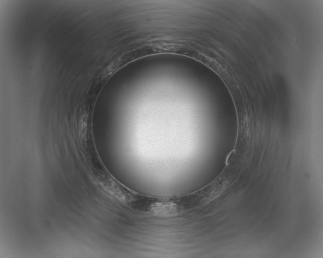 X0000082980271200702160005