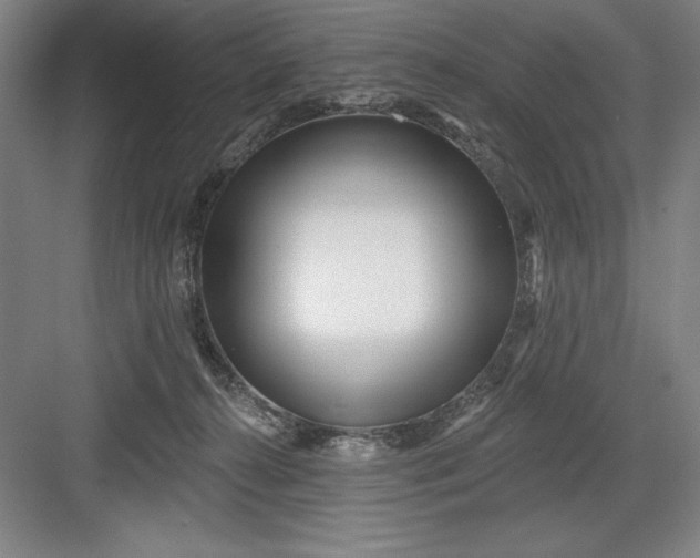 X0000082980272200702160005