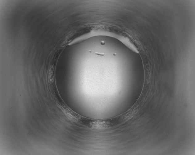 X0000082980273200702160005