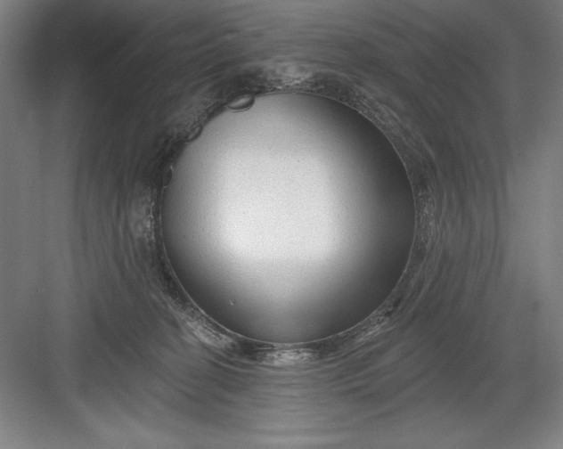 X0000082980274200702160005