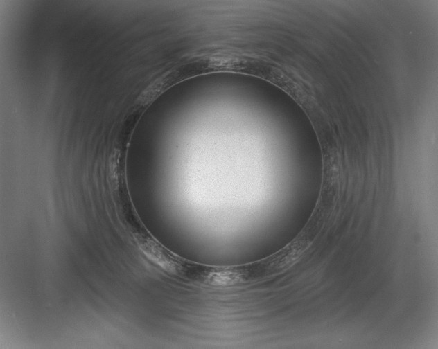 X0000082980275200702160005