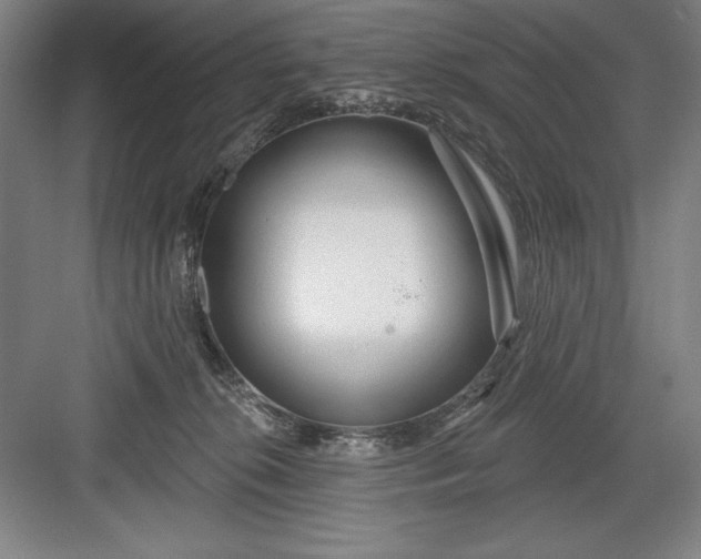 X0000082980276200702160005