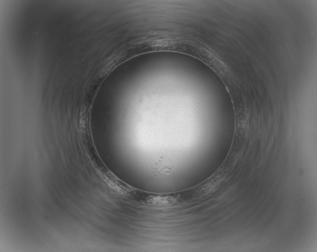 X0000082980277200702160005