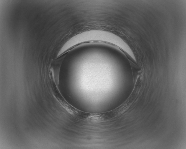 X0000082980280200702160005
