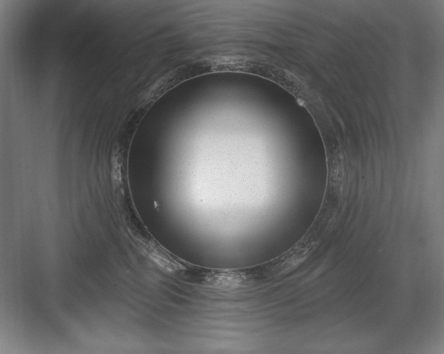 X0000082980282200702160005