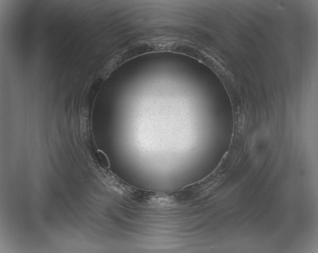 X0000082980283200702160005